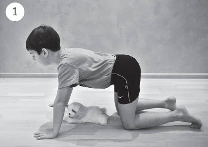 Иллюстрация к книге — Система &quot;Живая осанка&quot;. Уникальный курс постановки осанки за 30 дней [Autogen_eBook_id342.jpg]