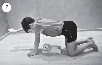 Иллюстрация к книге — Система &quot;Живая осанка&quot;. Уникальный курс постановки осанки за 30 дней [Autogen_eBook_id343.jpg]