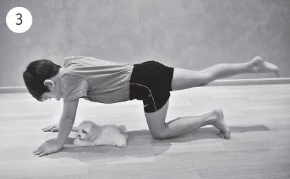 Иллюстрация к книге — Система &quot;Живая осанка&quot;. Уникальный курс постановки осанки за 30 дней [Autogen_eBook_id344.jpg]