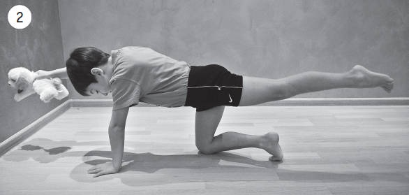 Иллюстрация к книге — Система &quot;Живая осанка&quot;. Уникальный курс постановки осанки за 30 дней [Autogen_eBook_id346.jpg]