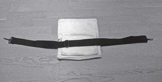 Иллюстрация к книге — Система &quot;Живая осанка&quot;. Уникальный курс постановки осанки за 30 дней [Autogen_eBook_id354.jpg]