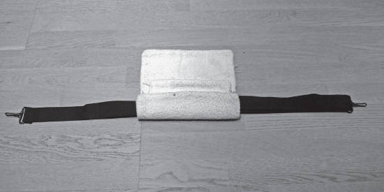 Иллюстрация к книге — Система &quot;Живая осанка&quot;. Уникальный курс постановки осанки за 30 дней [Autogen_eBook_id355.jpg]