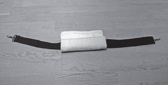 Иллюстрация к книге — Система &quot;Живая осанка&quot;. Уникальный курс постановки осанки за 30 дней [Autogen_eBook_id356.jpg]