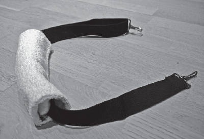 Иллюстрация к книге — Система &quot;Живая осанка&quot;. Уникальный курс постановки осанки за 30 дней [Autogen_eBook_id357.jpg]