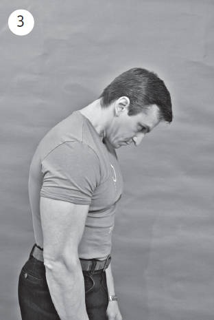 Иллюстрация к книге — Система &quot;Живая осанка&quot;. Уникальный курс постановки осанки за 30 дней [Autogen_eBook_id36.jpg]