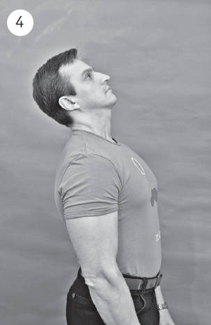 Иллюстрация к книге — Система &quot;Живая осанка&quot;. Уникальный курс постановки осанки за 30 дней [Autogen_eBook_id37.jpg]