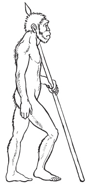 Иллюстрация к книге — Система &quot;Живая осанка&quot;. Уникальный курс постановки осанки за 30 дней [Autogen_eBook_id4.jpg]