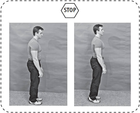 Иллюстрация к книге — Система &quot;Живая осанка&quot;. Уникальный курс постановки осанки за 30 дней [Autogen_eBook_id82.jpg]