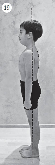 Иллюстрация к книге — Система &quot;Живая осанка&quot;. Уникальный курс постановки осанки за 30 дней [Autogen_eBook_id87.jpg]