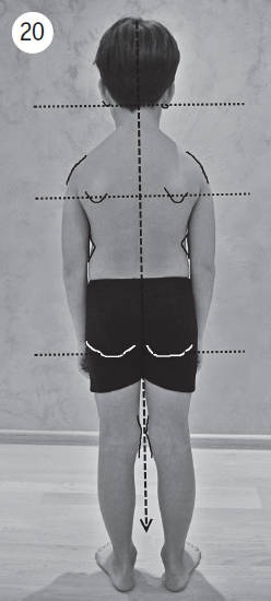 Иллюстрация к книге — Система &quot;Живая осанка&quot;. Уникальный курс постановки осанки за 30 дней [Autogen_eBook_id88.jpg]