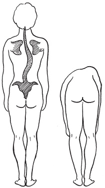 Иллюстрация к книге — Система &quot;Живая осанка&quot;. Уникальный курс постановки осанки за 30 дней [Autogen_eBook_id90.jpg]