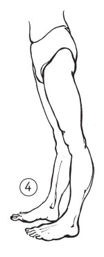 Иллюстрация к книге — Суставы без боли. Курс изометрической гимнастики [i_008.jpg]