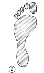 Иллюстрация к книге — Суставы без боли. Курс изометрической гимнастики [i_017.jpg]