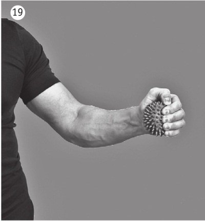 Иллюстрация к книге — Суставы без боли. Курс изометрической гимнастики [i_031.jpg]