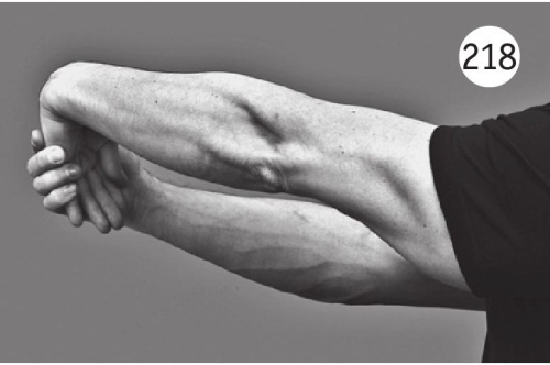 Иллюстрация к книге — Суставы без боли. Курс изометрической гимнастики [i_235.jpg]