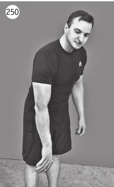 Иллюстрация к книге — Суставы без боли. Курс изометрической гимнастики [i_267.jpg]