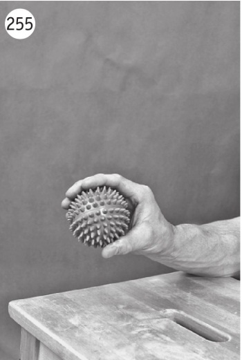 Иллюстрация к книге — Суставы без боли. Курс изометрической гимнастики [i_273.jpg]