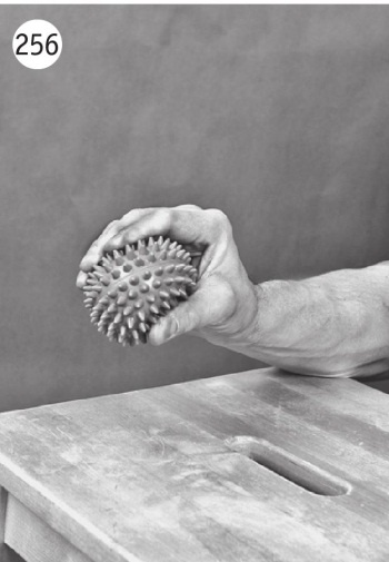 Иллюстрация к книге — Суставы без боли. Курс изометрической гимнастики [i_274.jpg]