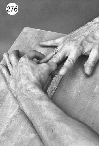 Иллюстрация к книге — Суставы без боли. Курс изометрической гимнастики [i_294.jpg]