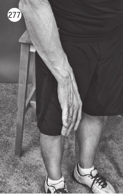 Иллюстрация к книге — Суставы без боли. Курс изометрической гимнастики [i_295.jpg]