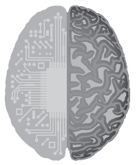 Иллюстрация к книге — Тело как феномен. Разговор с терапевтом [i_044.jpg]