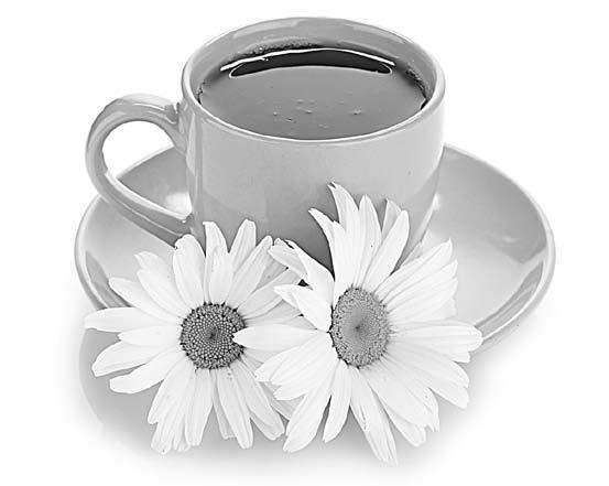 Иллюстрация к книге — Справочник гипертоника [i_011.jpg]