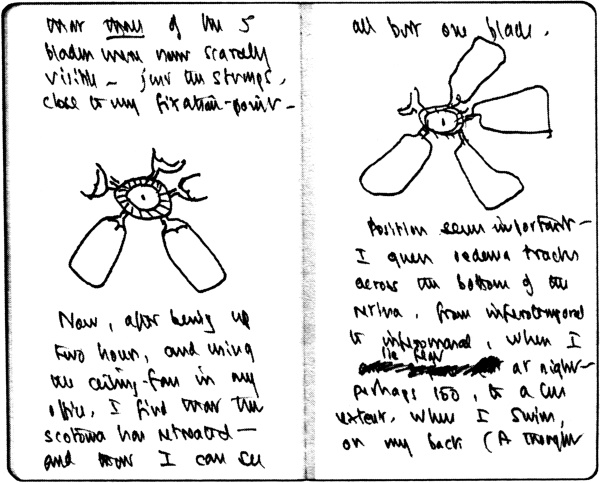 Иллюстрация к книге — Глаз разума [img_0.jpg]
