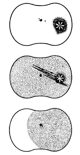Иллюстрация к книге — Мигрень [i_008.jpg]