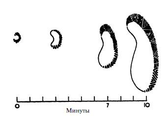 Иллюстрация к книге — Мигрень [i_014.jpg]