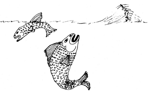 Иллюстрация к книге — Человек, который принял жену за шляпу, и другие истории из врачебной практики [i_010.jpg]