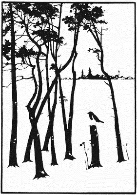 Иллюстрация к книге — Человек, который принял жену за шляпу, и другие истории из врачебной практики [i_011.jpg]