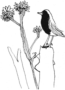 Иллюстрация к книге — Человек, который принял жену за шляпу, и другие истории из врачебной практики [i_012.jpg]