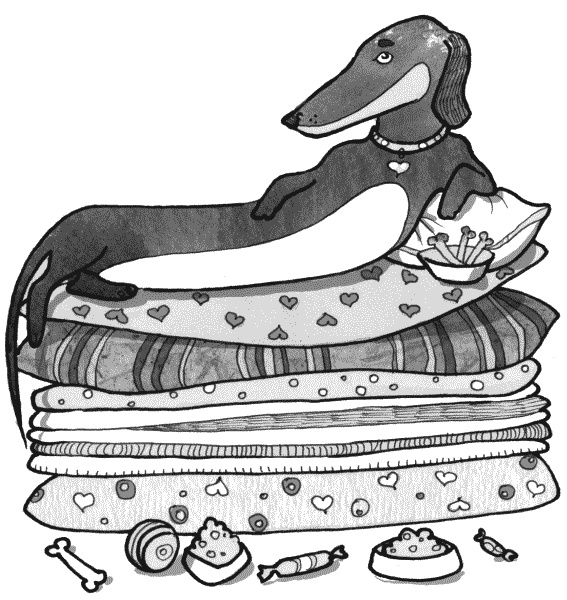 Иллюстрация к книге — Тесты для вашей собаки. Измерь IQ домашнего любимца и пойми его психотип [i_013.jpg]