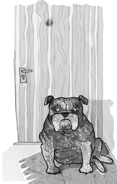 Иллюстрация к книге — Тесты для вашей собаки. Измерь IQ домашнего любимца и пойми его психотип [i_014.jpg]