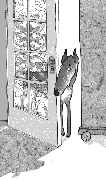 Иллюстрация к книге — Тесты для вашей собаки. Измерь IQ домашнего любимца и пойми его психотип [i_017.jpg]