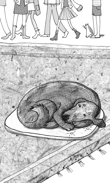 Иллюстрация к книге — Тесты для вашей собаки. Измерь IQ домашнего любимца и пойми его психотип [i_019.jpg]