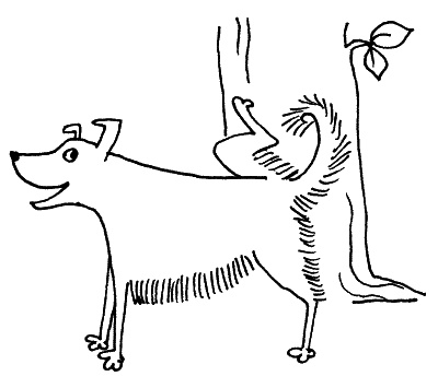 Иллюстрация к книге — Тесты для вашей собаки. Измерь IQ домашнего любимца и пойми его психотип [i_036.jpg]