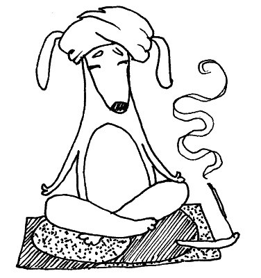 Иллюстрация к книге — Тесты для вашей собаки. Измерь IQ домашнего любимца и пойми его психотип [i_049.jpg]