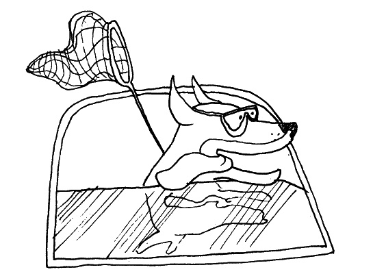 Иллюстрация к книге — Тесты для вашей собаки. Измерь IQ домашнего любимца и пойми его психотип [i_061.jpg]