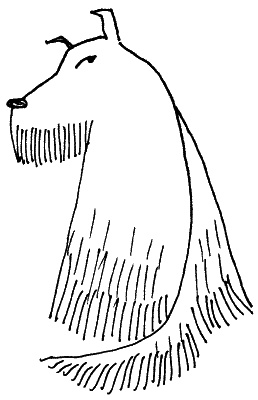 Иллюстрация к книге — Тесты для вашей собаки. Измерь IQ домашнего любимца и пойми его психотип [i_068.jpg]