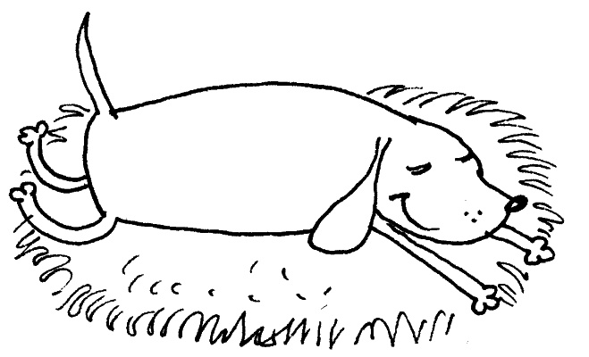 Иллюстрация к книге — Тесты для вашей собаки. Измерь IQ домашнего любимца и пойми его психотип [i_072.jpg]