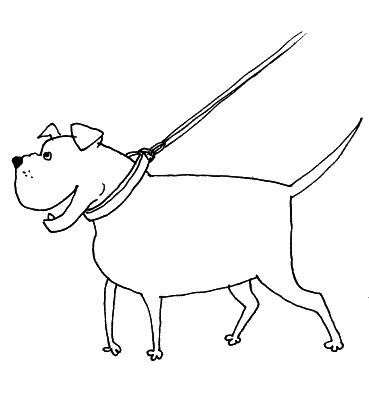 Иллюстрация к книге — Тесты для вашей собаки. Измерь IQ домашнего любимца и пойми его психотип [i_078.jpg]