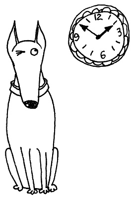 Иллюстрация к книге — Тесты для вашей собаки. Измерь IQ домашнего любимца и пойми его психотип [i_079.jpg]