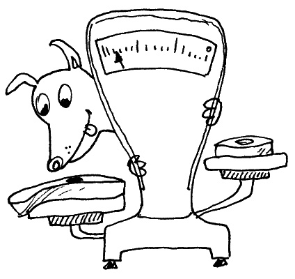 Иллюстрация к книге — Тесты для вашей собаки. Измерь IQ домашнего любимца и пойми его психотип [i_080.jpg]