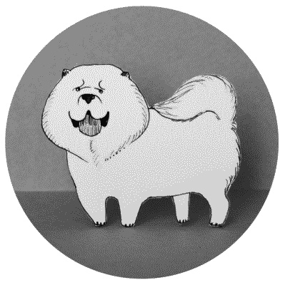 Иллюстрация к книге — Тесты для вашей собаки. Измерь IQ домашнего любимца и пойми его психотип [i_085.jpg]