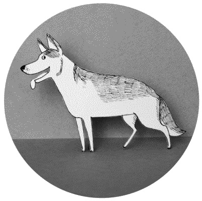 Иллюстрация к книге — Тесты для вашей собаки. Измерь IQ домашнего любимца и пойми его психотип [i_086.jpg]