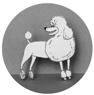 Иллюстрация к книге — Тесты для вашей собаки. Измерь IQ домашнего любимца и пойми его психотип [i_089.jpg]