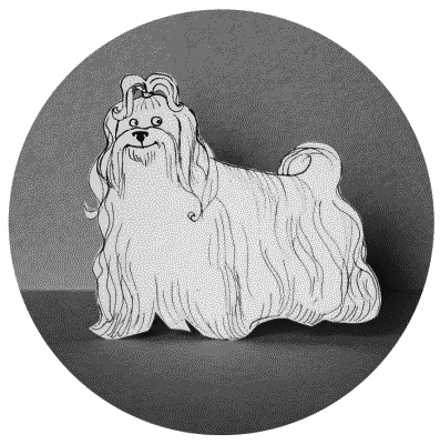 Иллюстрация к книге — Тесты для вашей собаки. Измерь IQ домашнего любимца и пойми его психотип [i_093.jpg]