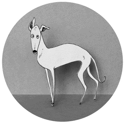 Иллюстрация к книге — Тесты для вашей собаки. Измерь IQ домашнего любимца и пойми его психотип [i_095.jpg]