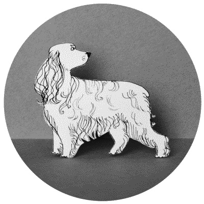 Иллюстрация к книге — Тесты для вашей собаки. Измерь IQ домашнего любимца и пойми его психотип [i_101.jpg]